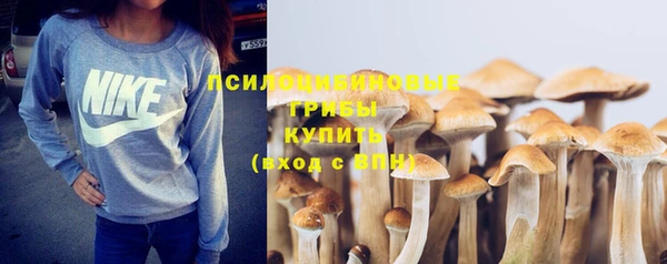 кокс Покачи