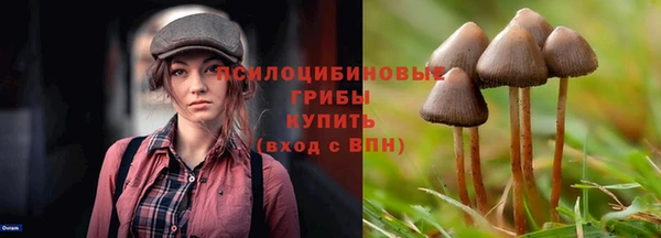 PSILOCYBIN Алексин