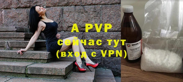 a pvp Алзамай