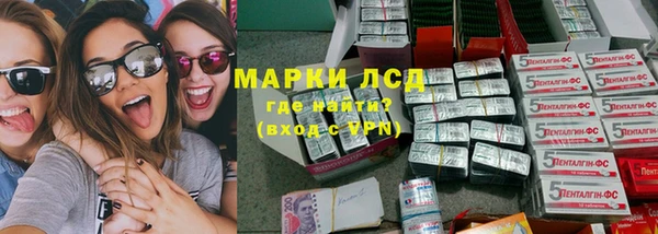 a pvp Алзамай