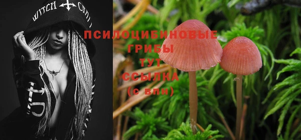 прущие крисы Алексеевка